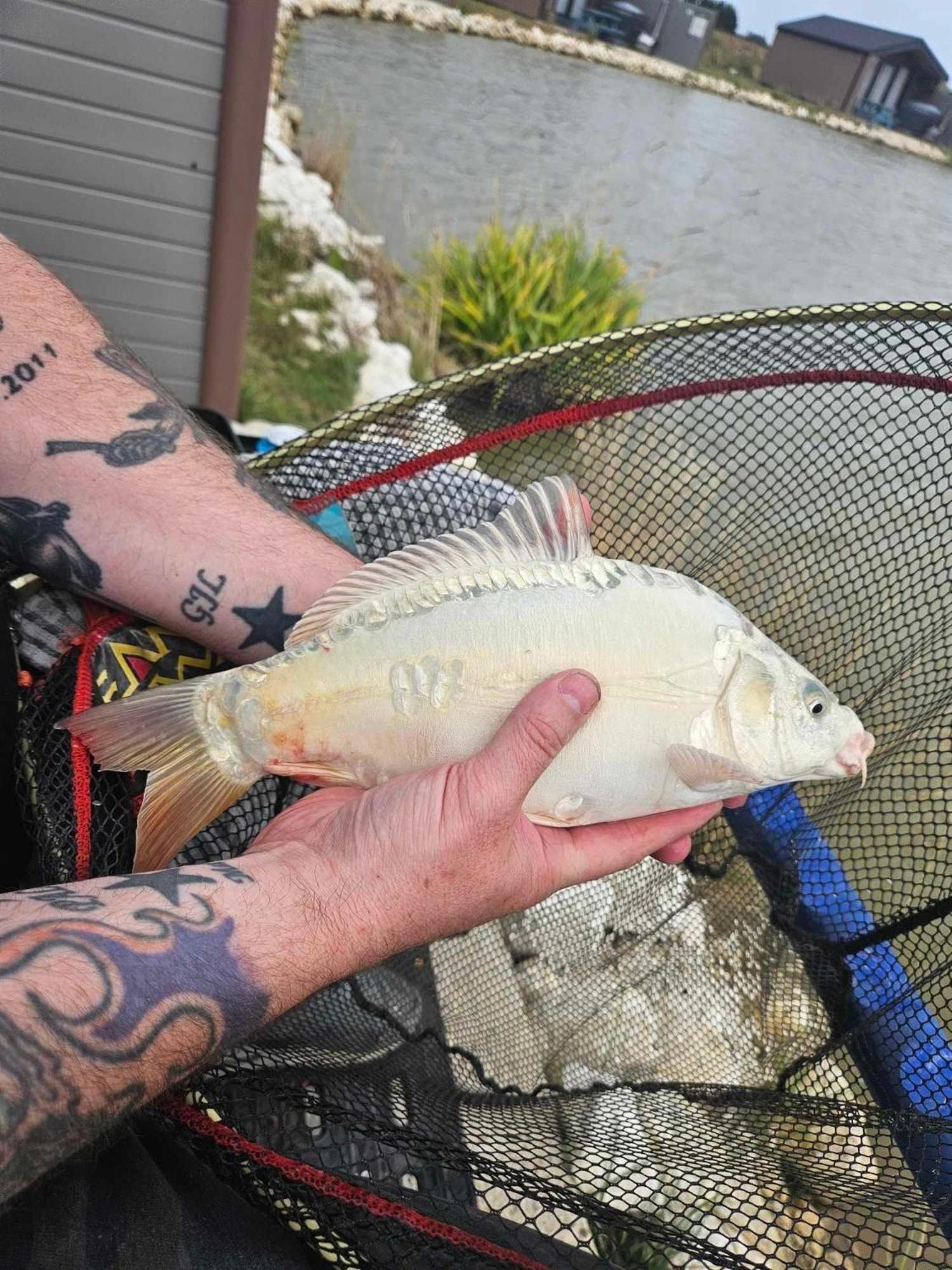 Lakeside Fishing Retreats Boston Camera foto