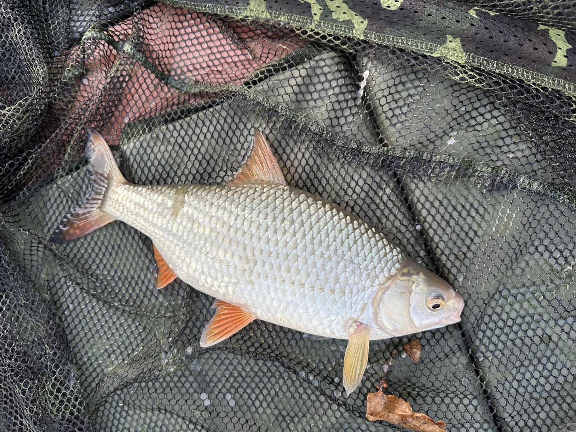 Lakeside Fishing Retreats Boston Camera foto